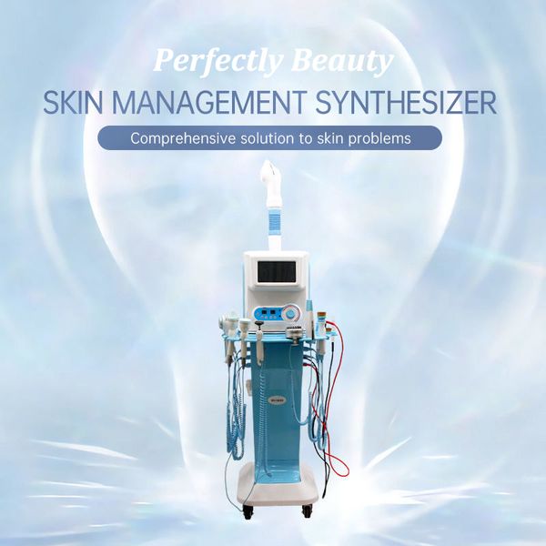 Heetste Verkopende 13 In 1 Facial RF Ultrasone Microstroom Water Jet Peel hoogfrequente Facial Machine met Facial Steamer