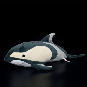 Zandloper Dolfijn Anime Leuke Plushie Dolfijnen Knuffels Levensechte Dieren Simulatie Gevulde Pop Kawai Speelgoed Kinderen 240325