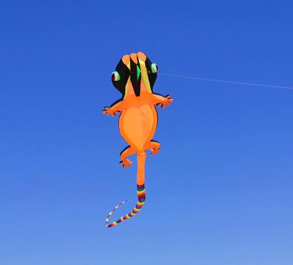 House Lizard Kite 3D Kite Colorido Skeleton Tail larga Easy to Fly Beach Kites al aire libre Play5165085
