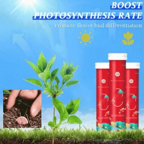 Fertilizante orgánico de jardinería doméstica en maceta en maceta fertilizante orgánico nutriente liberación lenta para plantas de follaje cultivo de fruta