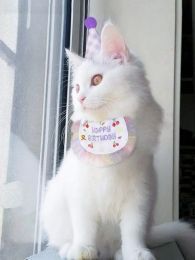 Huizen huisdier verjaardag slabbetje en feest hoed kat puppy kaniva handdoek Mini Doggy Bandana sjaalhond verjaardagsverkledende benodigdheden