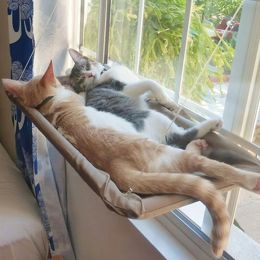 Maisons pour animaux de compagnie chat hamac suspendu lit de chat portant 20 kg chat confortable pour fenêtre ensoleillée monte chaton d'escalade