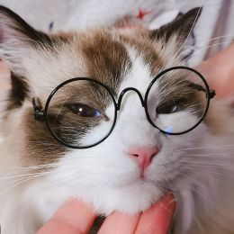 Maisons vintage rond des lunettes de soleil chat de soleil réflexion lunettes de lunettes Produits pour animaux de compagnie pour chaton pour chiens accessoires pour chats pour les petits chiens