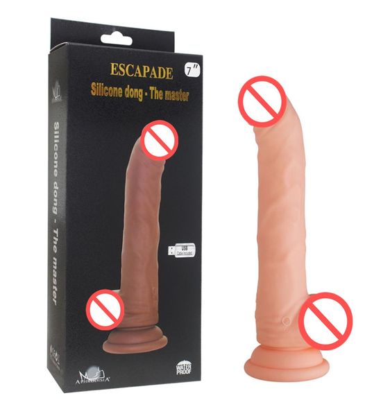 Howells Silicone Dong Rechargeable Big Dildo avec 10 fonctions vibrantes Strong Aspiration Tup Penis Sex Toys for Women Sex Shop8579799
