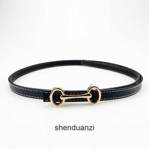 HREMMS HIGH END Designer Beltes For Womens Black Backle Decoration Taillon Womens Womens Womenle Womensband Womens Decoration Original 1: 1 with Real Logo