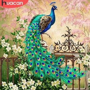 Huacan 5D Diamond schilderen Peacock Diy Mozaïek Bloem Vol vierkante/ronde boor Diamanten borduurwerk dieren Home Decor