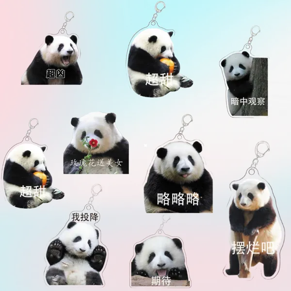 Huahua – porte-clés Panda mignon en acrylique, écouteurs animaux, pendentif pour sac d'école, accessoires coréens Ins, gestion des clés