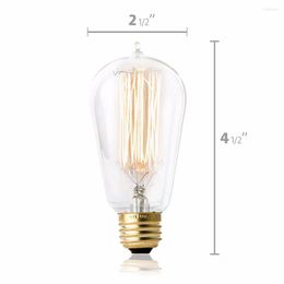 Hudson Lighting Ampoule Edison Vintage Style Antique ST58 Filament Cage d'Écureuil 230 Lumens 60W E26