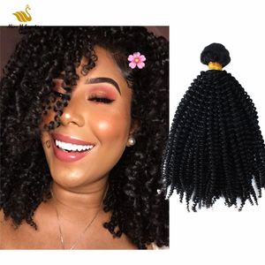 Zwart Kleur Afro Krullend Menselijk Hair Extensions Double Inslag Maagd Haarbanden 2 Bundels 10-30 inch