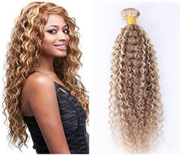 Menselijk haarbundels Pianokleur Gemengd 27 613 Blond Kinky Krullend Haar Inslagen Afro Kinky Krullend Braziliaans Maagdelijk Haar 3 Stukslot Nieuw Arri1672240