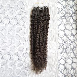 Extensies van echt haar Kinky krullend Micro Loop Ring Hair Extensions 100g 1gs 100s Remy Micro Bead Hair Extensions Donkerste bruin2491486