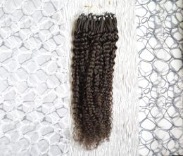 Extensiones de cabello humano Extensiones de cabello rizado de micro bucle rizado 100G 1GS 100S Remy Micro Bead Extensiones de cabello más oscuro5351485