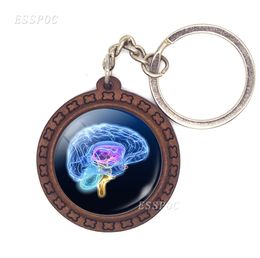 Human Head Pendant Anatomy Science Science Cerveau Keychain Gift Under Anatomy Keyring Wooden Key Chain Key Holder Doctor039S Gift9710655