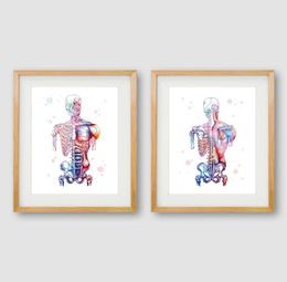 Músculos humanos lienzo de arte estampado y cartel de acuarela Sistema muscular Anatomía pintura de anatomía arte de la pared de impresión médica 3933210