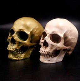 Crâne humain Lifesize 11 résine réplique modèle médical Aquarium ornement Aquarium paysage aquatique grotte Halloween décoration de la maison Y2009173110280