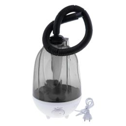 Humidificateurs 4l Reptile Air Humidificateur pulvérisateur Terrarium Fogger Mister Fogger Facile Fascid With Timer