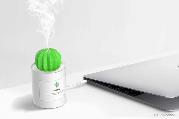 Humidificadores Humidificadores de cactus Escritorio Mini Humidificador de niebla fría 280 ml USB Portátil Difusor de aire para automóvil Apagado automático El mejor regalo para Navidad R230802