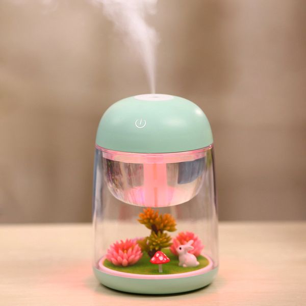 Humidificateurs Mini humidificateur à brume portable Transparent Micro-paysage Humidificateur d'air Pulvérisateur Purificateur d'air Diffuseur avec lumières LED pour la maison 230427