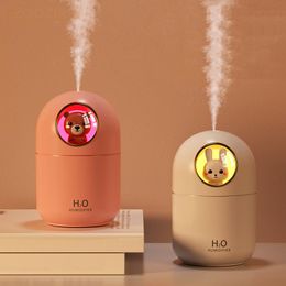 Humidificateurs USB Mini Leuke Huisdier Luchtbevochtiger 300ml Draagbare Zacht Licht Ultrasone Aroma Diffuseur Humidificador Voor Thuis