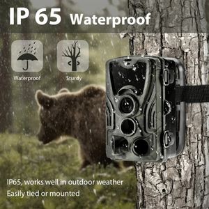 Caméra de chasse Wild Trail Cameras HC801A 16MP 1080P IP65 PO POT TRAP WILDLIFE Surveillance Cams Scout Tracking 240428