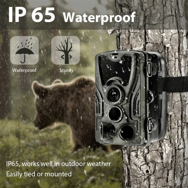 Caméra de chasse Wild Trail Cameras HC801A 16MP 1080P IP65 PO POT TRAP WILDLIFE Surveillance Cams Scout Tracking 231222