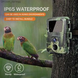 Caméras de chasse 20MP Mini Trail Camera Wildlife Hunter Mini600 1080p Forest Animal Photography Trap et suivi Q240306