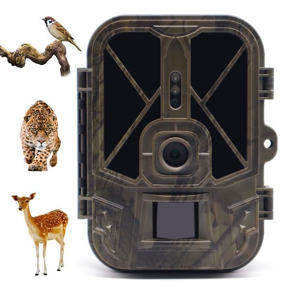 Caméras de chasse SuntekCam Wildlife Trail 50MP 4K IP65 Caméra HC940A 10AA Batterie Night Vision Po Traps Surveillance sans fil 230620