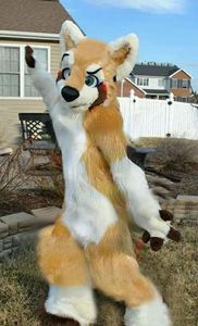 Husky Dog Fox Mascot Fur Clothing Walking Halloween Pak Role Play Xmas Paas volwassenen Parade