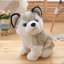 Perro Husky juguetes de peluche pequeños animales de peluche juguetes de muñecas 18 cm regalo niños regalo de Navidad juguetes de peluche envío gratis