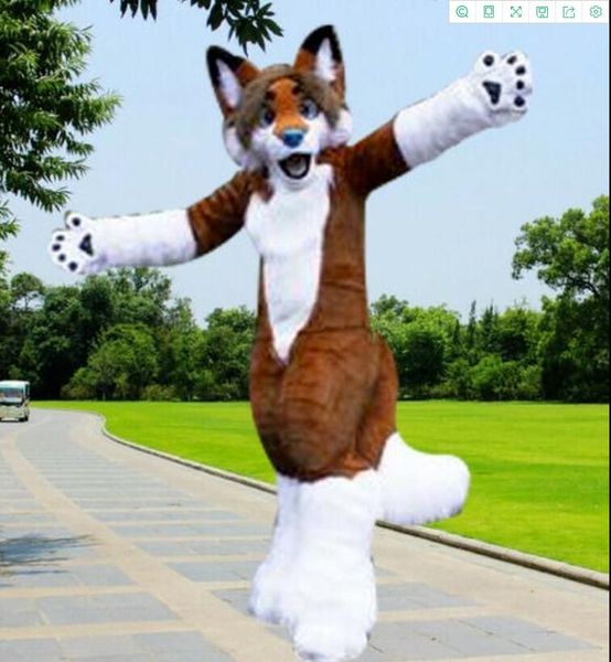 Disfraz de mascota de zorro husky caminando Halloween Tamaño adulto de alta calidad