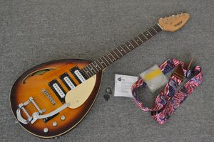 Hutchins Brian Jones Vox Vintage Sunburst Semi Hollow Body Electric Guitar Big Bridge 3 Pickup