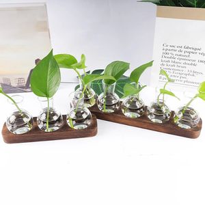 Plantes hydroponiques conteneur plante verre tube à essai Terrariums Vase dans support en bois Pots de fleurs plantes hydroponiques tube à essai Vase 240105