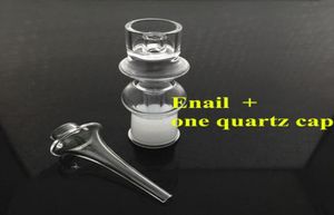 Hyman Rigs Purity Dorseless Quartz clou mâle femelle mâle ajustement 16 mm 20 mm chauffage de bobine à ongles bangers ongles banger sans dôme pour dab rig31955694652302