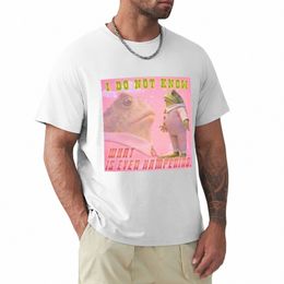 je ne sais même pas ce qui cloche.T-Shirt kawaii pour hommes, vêtements grandes tailles, unis, L7a1 #