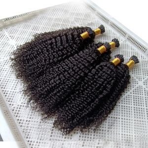 Extensiones de cabello con punta, color natural, cápsula personalizada, palo de queratina, punta con extensiones de cabello humano, rizado profundo, 100 g, 1 g de hebra, 100 s, indio, brasileño, peruano, mongol