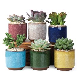 Maceta de cerámica agrietada con hielo, maceta bonita y colorida para decoración de escritorio, plantas en macetas carnosas, minijardineras, maceta Ted pot ted