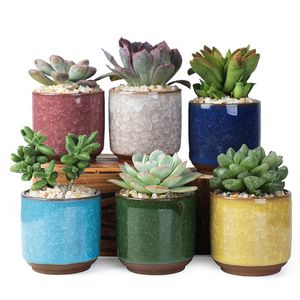 Maceta de cerámica agrietada con hielo, maceta bonita y colorida para decoración de escritorio, minijardineras con plantas carnosas en macetas