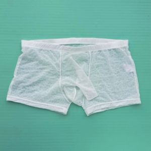 Ice Silk's Men's Underwear Boxer Brief