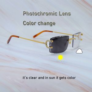 Iced Out Lunettes de soleil Lentille photochromique Changement de couleur Lentilles de deux couleurs Lunettes 4 saisons Strass de luxe interchangeables Carter Eyewear Gafas De Sol