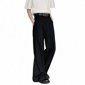 IEFB Pantalon de costume plissé pour hommes Casual Élégant Couleur unie Fermeture à glissière Droite Mâle Pantalon à jambes larges Nouveau Printemps 2024 à la mode 9C4216 R7RN #