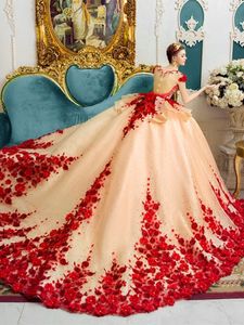 Illusie halslijn 3D bloemen baljurk champagne trouwjurken met 1m trein appliques bruiloft bruidsjurken gewaad de mariage plus size