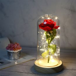 Imitatie Flowers Valentine's Day Gift Simulation Hand Hydraterende rozenlamp Glas Cover Pendant Eeuwige Bloem Color Doos Verpakking
