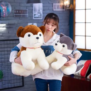 Imitatie Husky Doll Doll Cute Erha plush speelgoed groothandel chai honden kussen cadeau