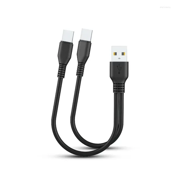 Câble séparateur USB de Type C en 1, pour deux appareils, cordon de chargeur, téléphone portable, tablette, batterie externe