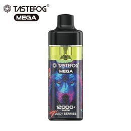 En stock Tastefog Mega Puffs 12k Vapes jetables Pod rechargeable Puff 12000 Pod de cigarette électronique 2% 15 ml 650 mAh 12 saveurs avec contrôle du flux d'air de lampe de poche LED