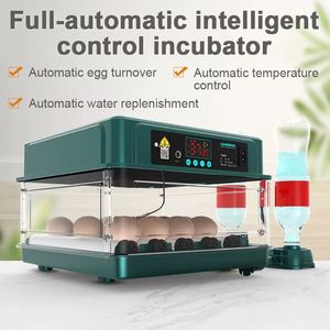 Incubators 15 Eggs Incubator Fully Automatic Turning Hatching Brooder Farm Bird Quail Chicken Poultry Hatcher Turner Incubation Tool 230920