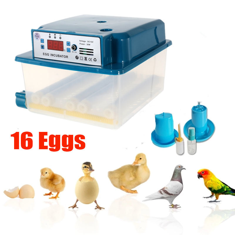 Incubators 616 eieren Automatische incubator voor ei-incubatie Broedmachine Vogel Kuiken Kip Accessoire Smart 220V110V Landbouwapparatuur 230920