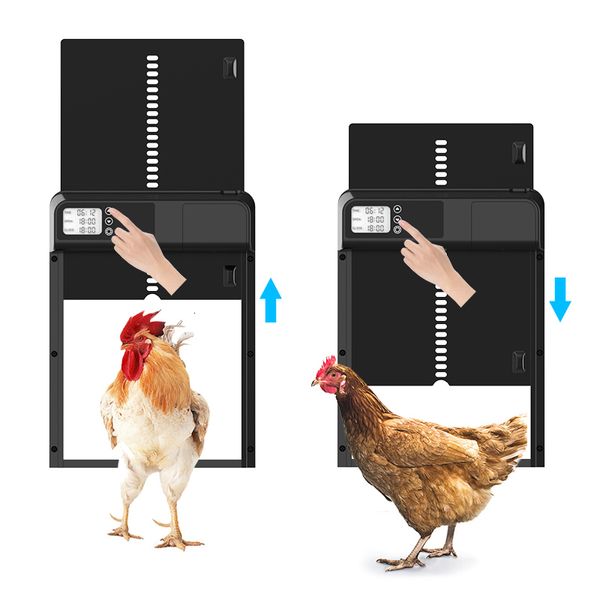 Incubators EST Temporizador Temporizador Automático Puerta de pollo Puerta IPX3 IPX3 Puerta de aves de corral eléctrica impermeable para ACCS 230812 ACCS 230812