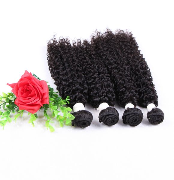 cheveux bouclés indiens jerry crépus bouclés cheveux vierges tissage serré 3 pièces faisceaux de cheveux humains gratuit dhl