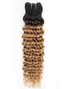 Tissage en lot indien de cheveux bouclés et ondulés, 1B27, blond miel ombré, deux tons, 1024 pouces, cheveux humains péruviens et malaisiens, Ext5606836